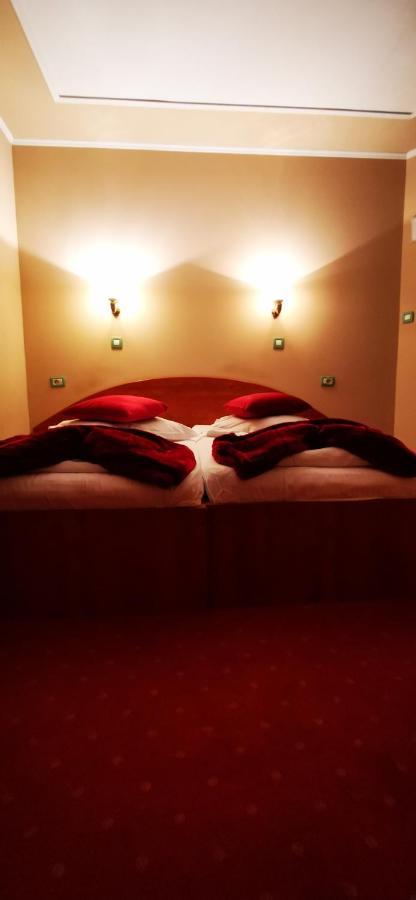 Hotel All Times Тимишос Стая снимка